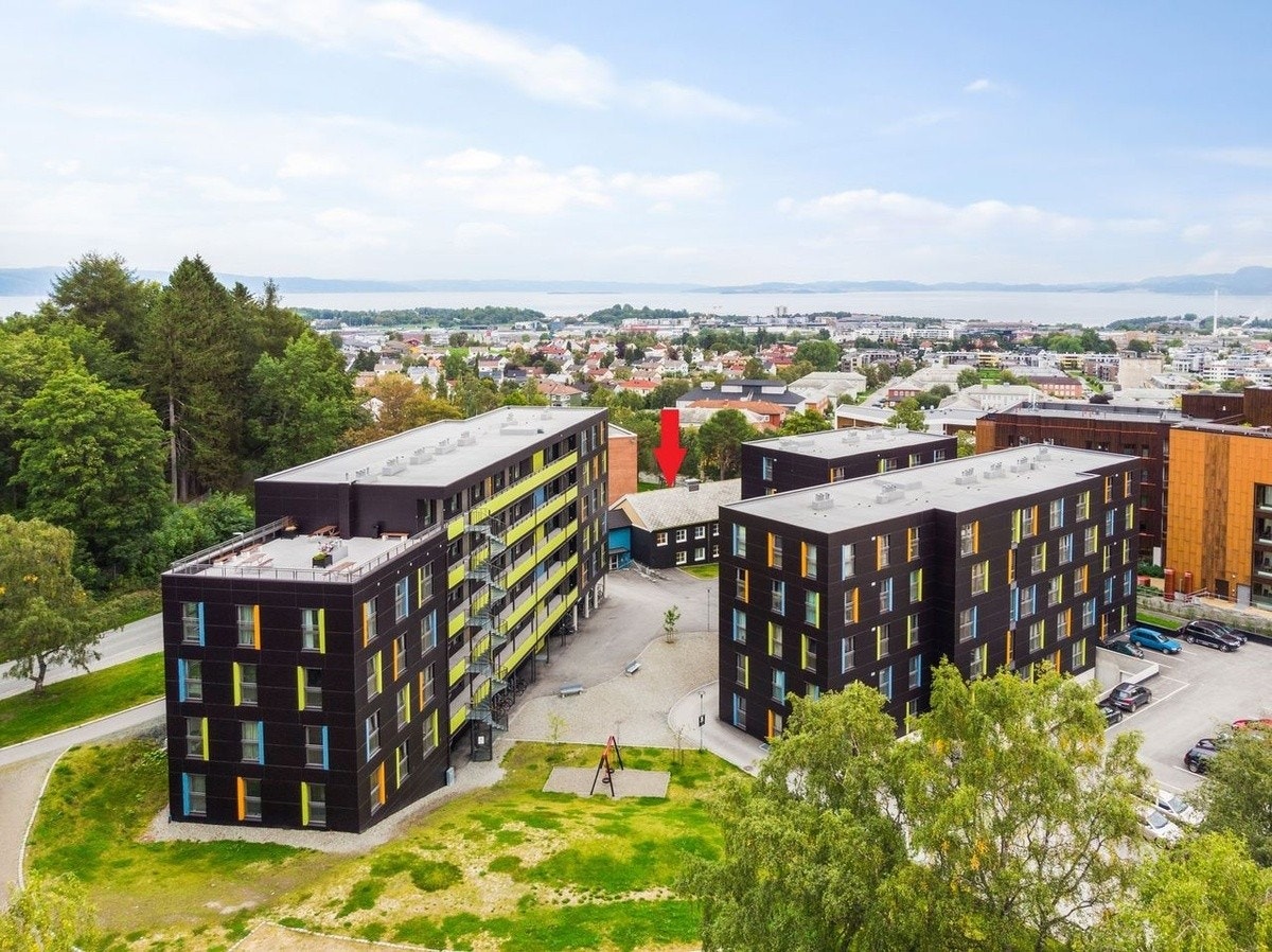 Illustrasjonsfoto Galleribilde