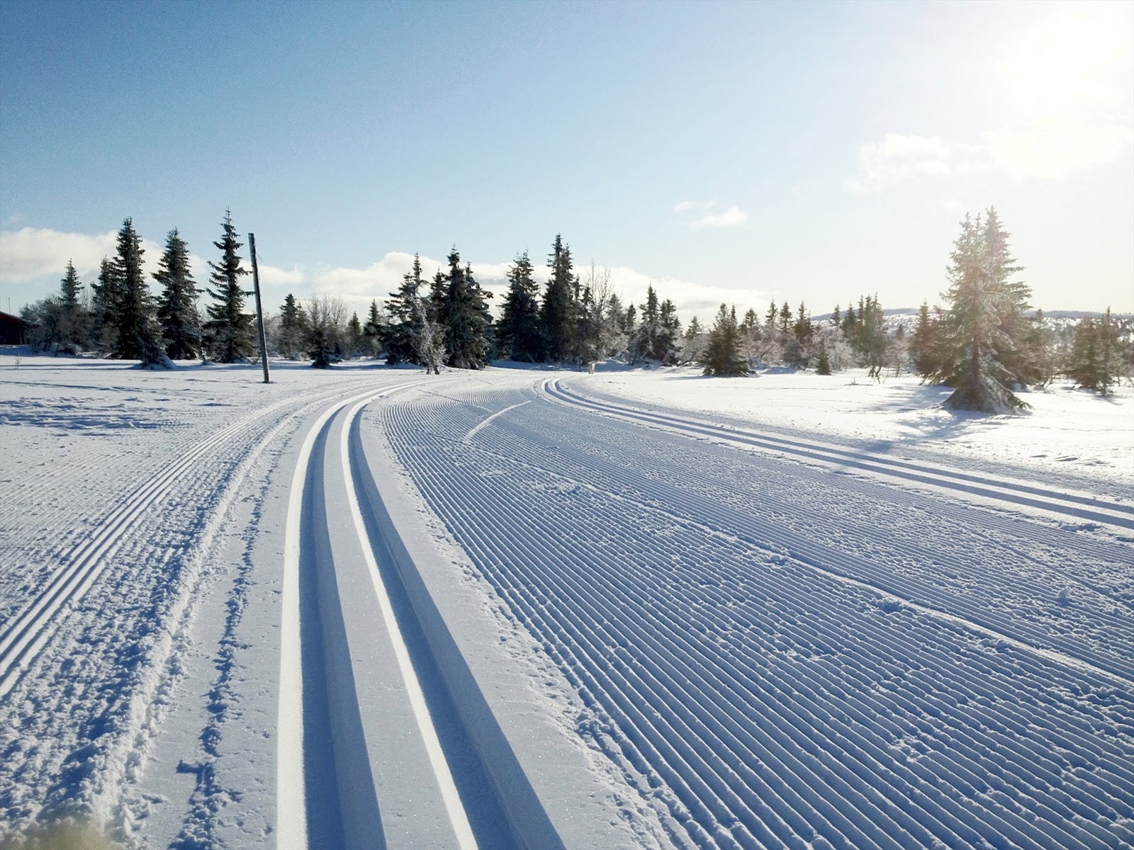 Området har direkte adkomst til langrennsløypene som strekker seg forbi Pellestova, mot Hornsjø, Reinsvannet, Nordseter og Sjusjøen, samt eget løypenett som gir ski inn/ut adkomst til alpinanlegget. Galleribilde