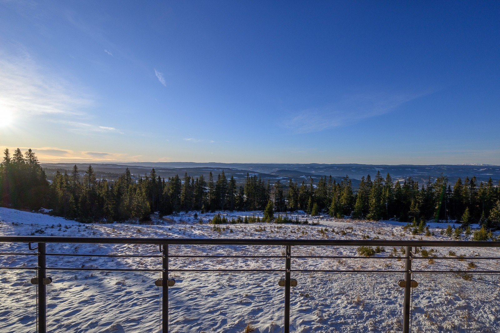 Et flott skue! Galleribilde