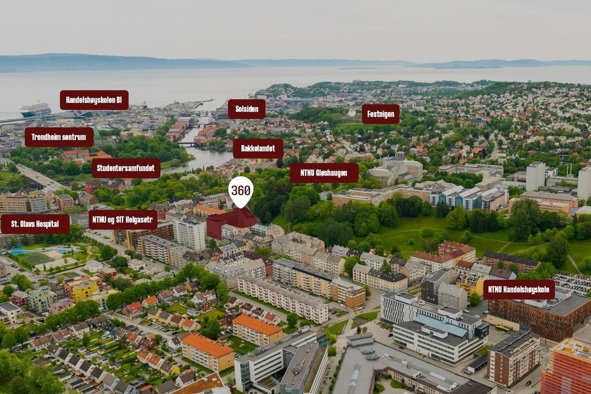 Nærområde Galleribilde