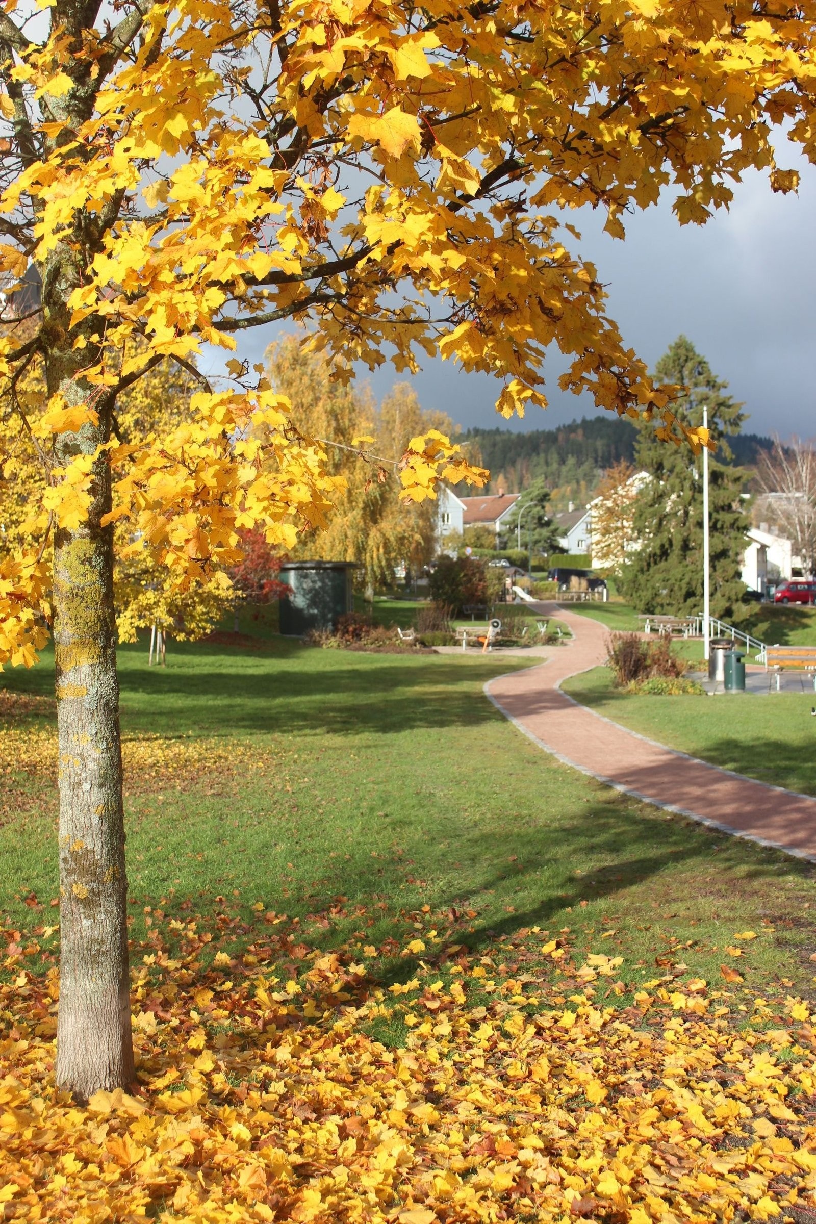 Flotte turområder i umiddelbar nærhet. Badedammen på Årvoll har gjennomgått betydelige oppgraderinger senere år. Galleribilde