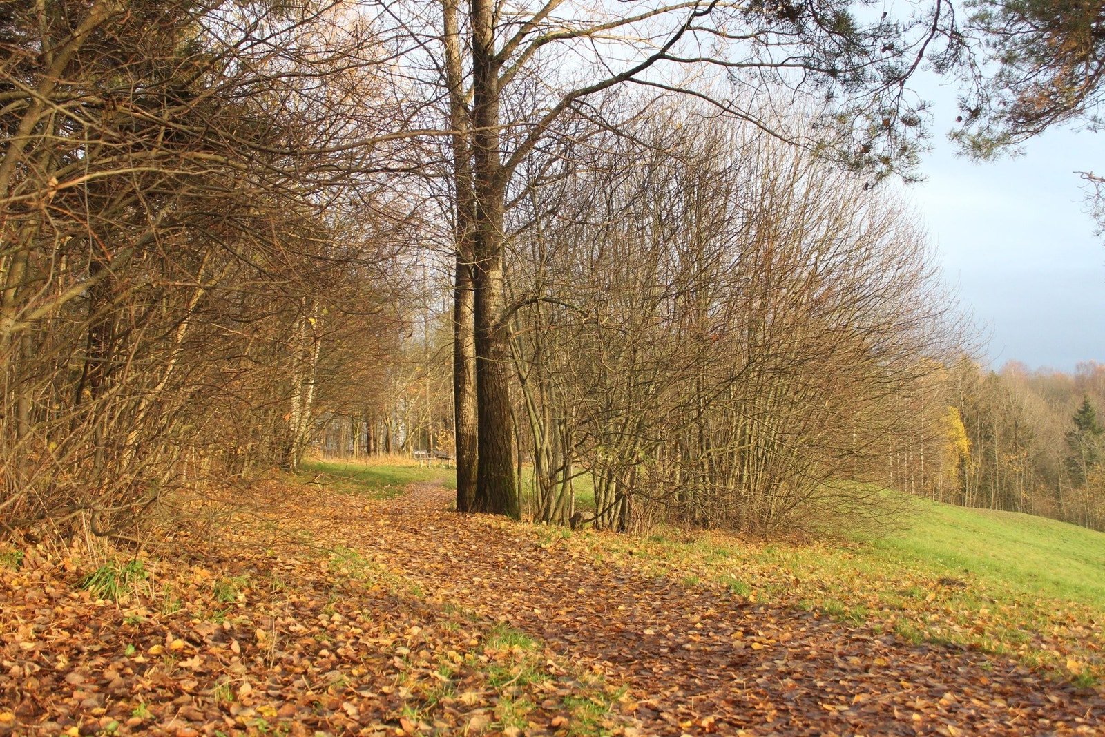 Fint utsiktspunkt med bålpanne like ved leiligheten. Galleribilde