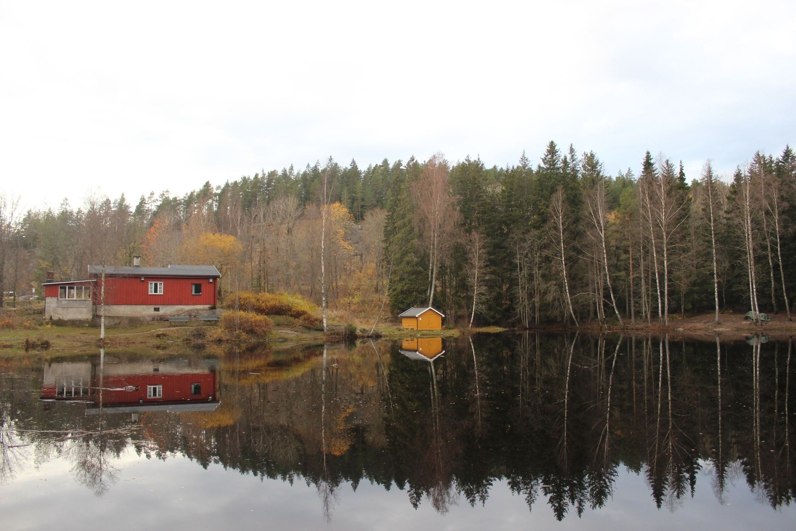 Isdammen. Galleribilde