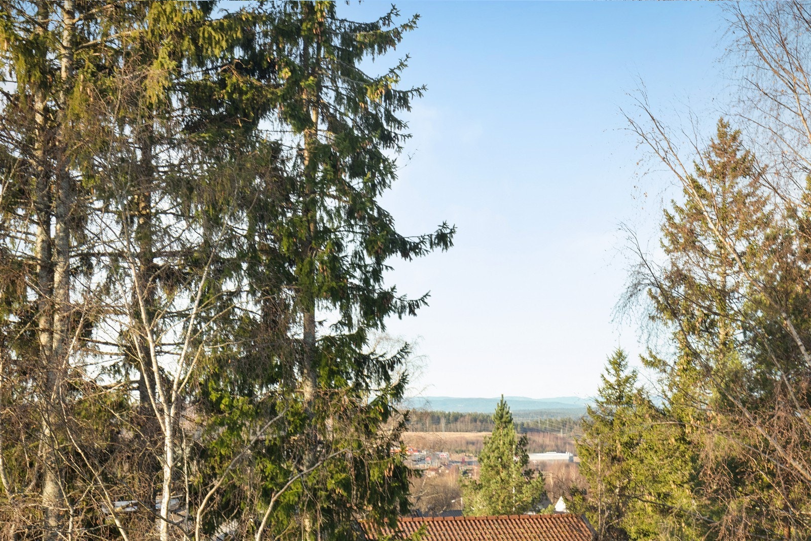 Fra eiendommen er det utsikt mot omkringliggende skog og mark. Galleribilde