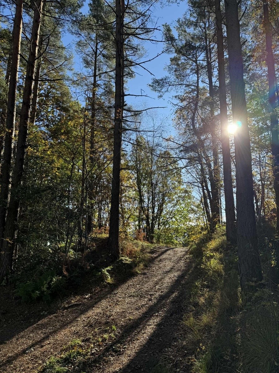 nydelig turområde Galleribilde