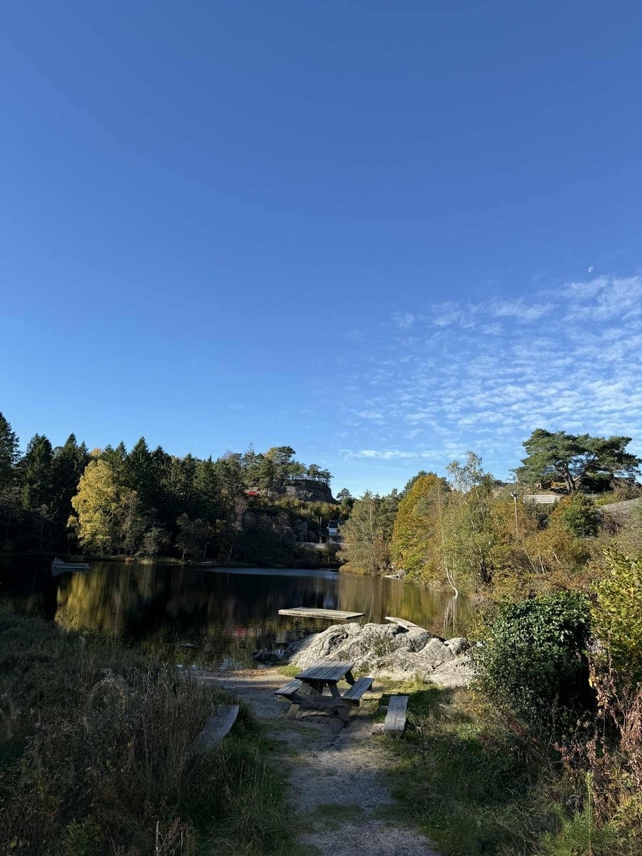 eiketjønna Galleribilde