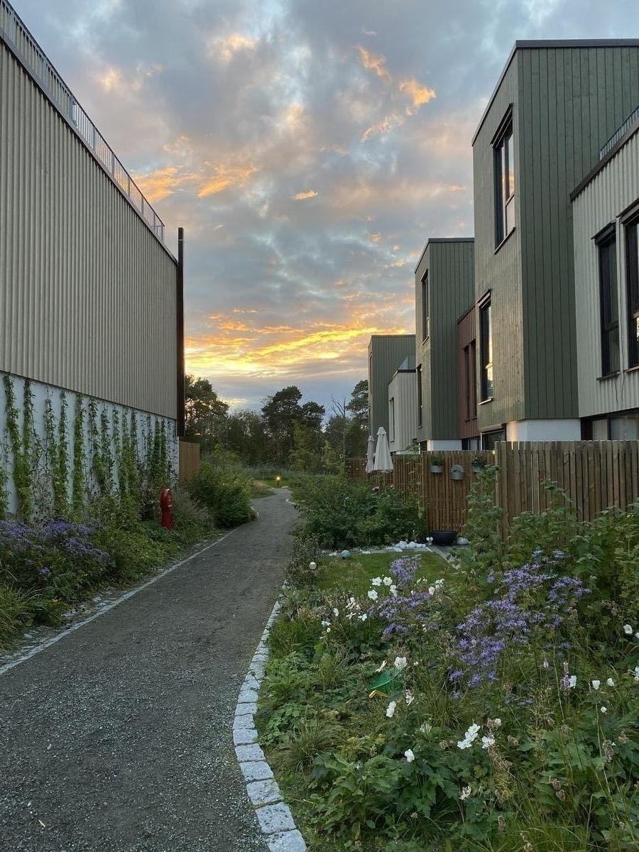 Omgivelser Galleribilde