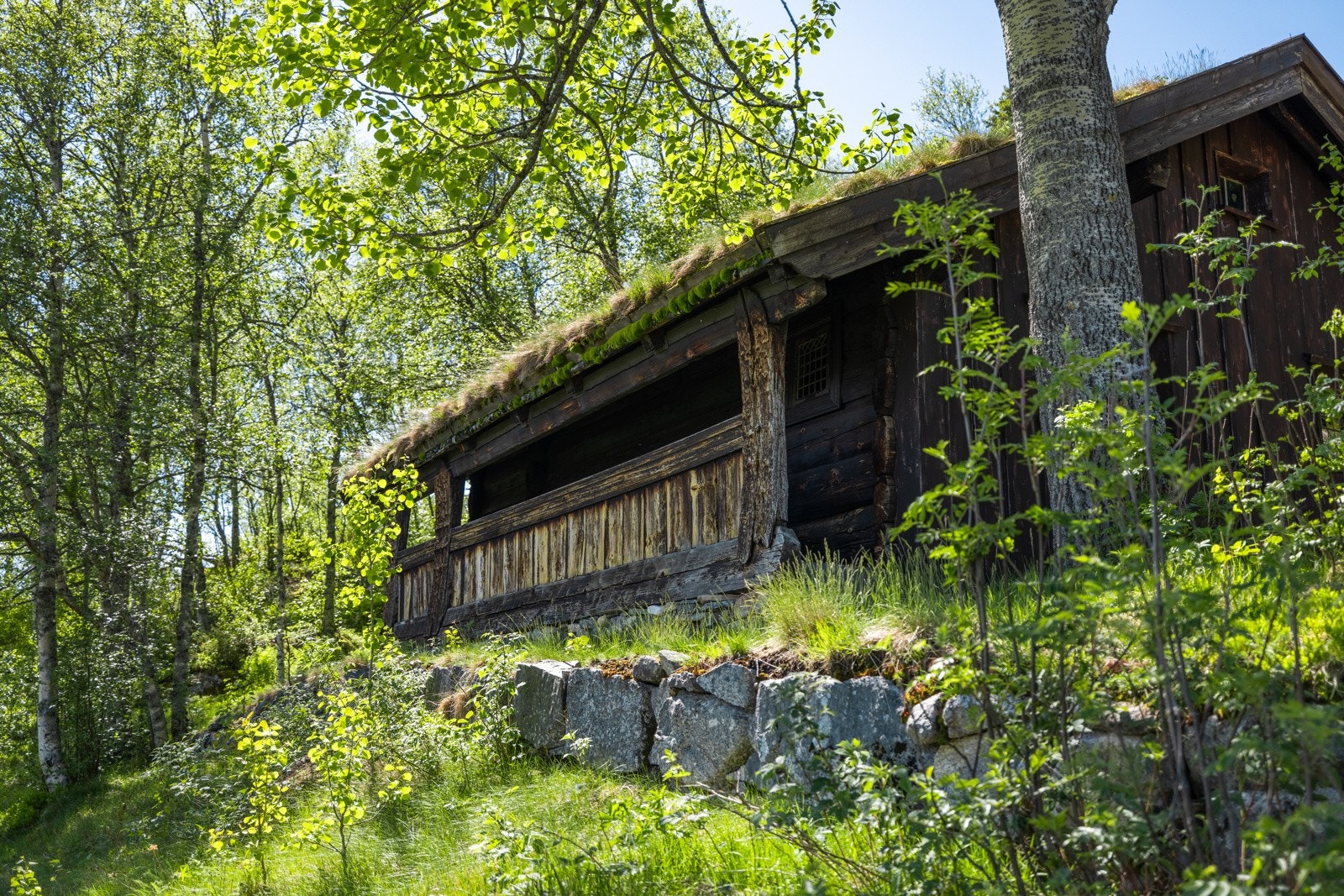 Torvetjønnstoga ble fredet så tidlig som i 1923, og i 1961 ble den flyttet til Neset Galleribilde