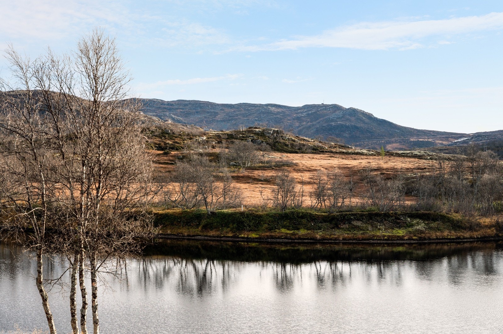 Elva Bjoreio. Galleribilde