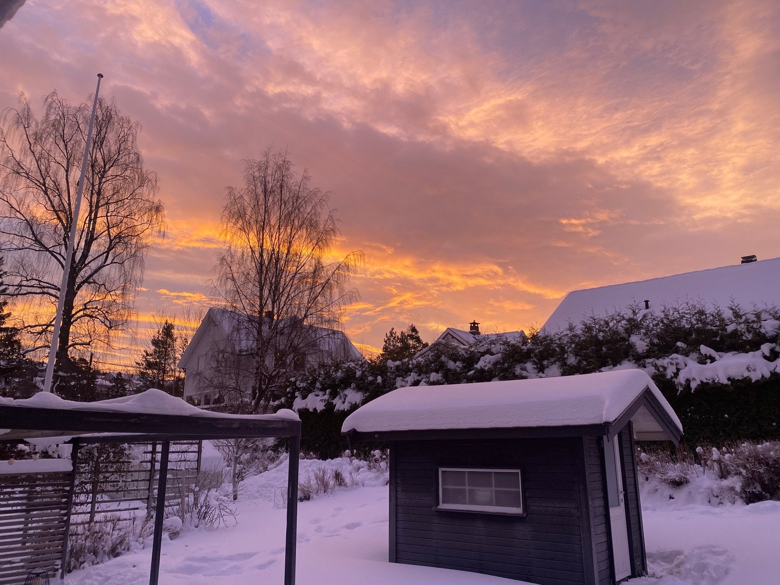 Privat bilde Galleribilde