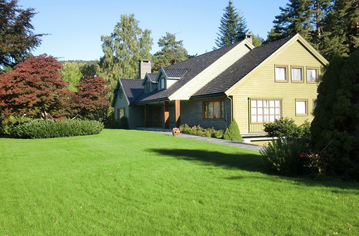 STOR PLEN Galleribilde