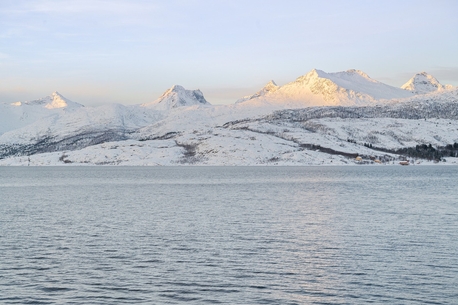 Velkommen til en trivelig visning! Galleribilde