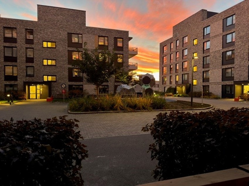 - Kveldsstemning - Galleribilde