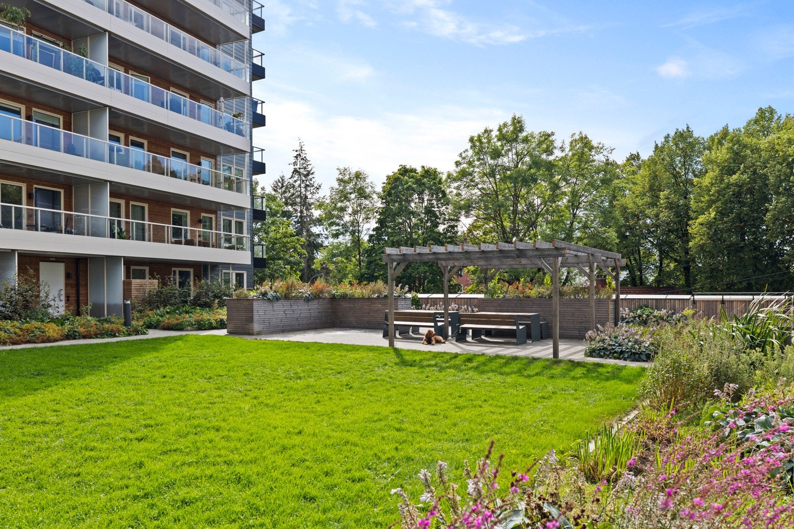 - Sentral beliggenhet med grønne omgivelser og høy bokvalitet - Galleribilde