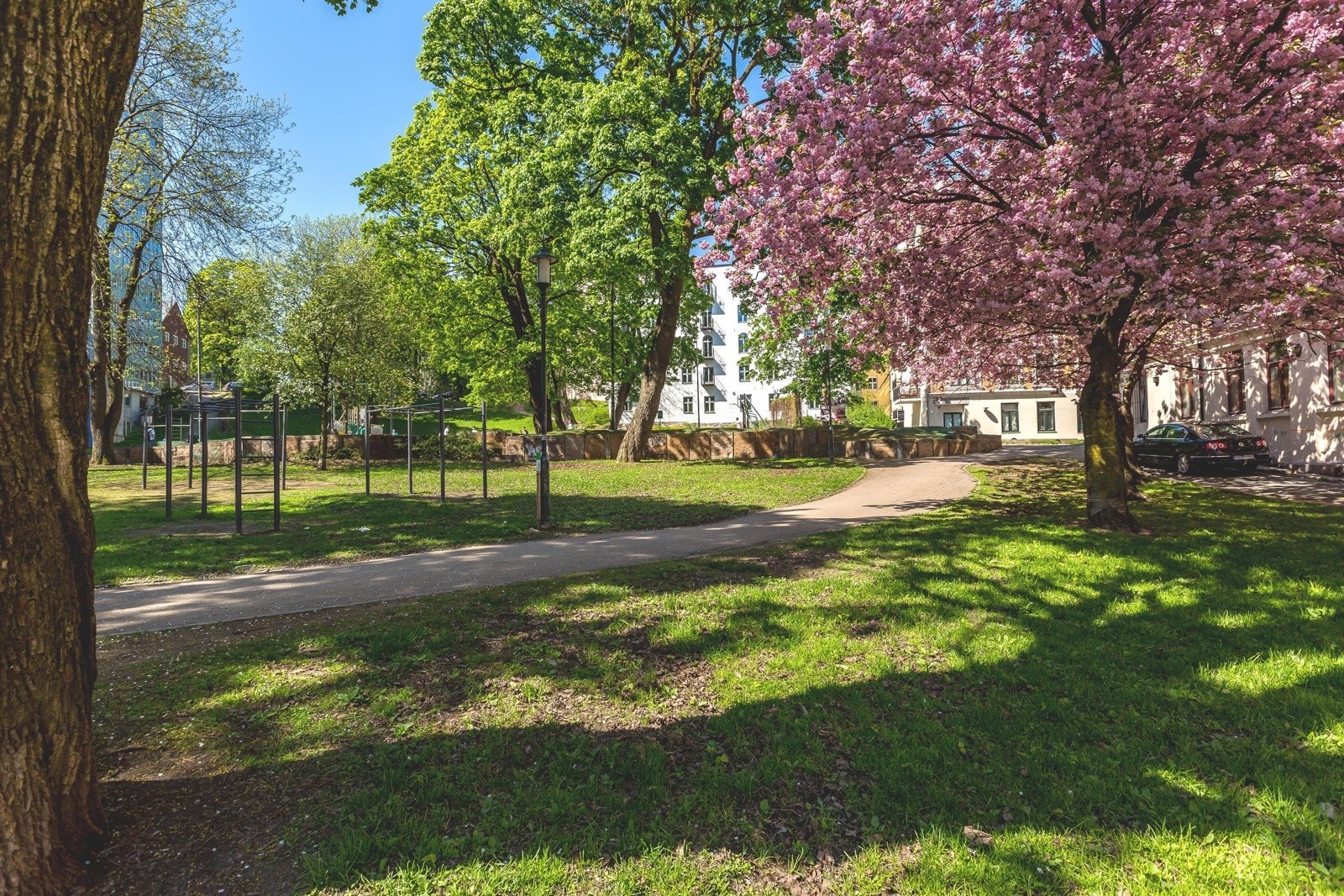 Kristparken rett utenfor stuevinduet Galleribilde