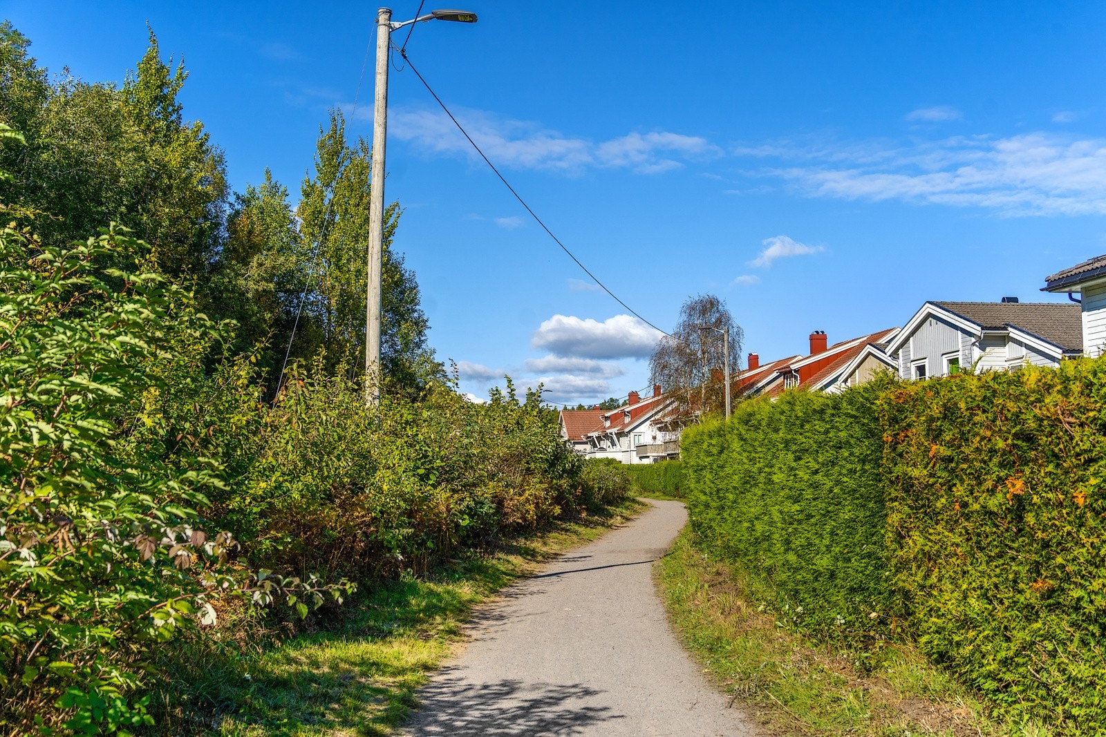Turvei rett utenfor som fører til skolen, butikken eller bare for et sosialt treff i nabolaget Galleribilde