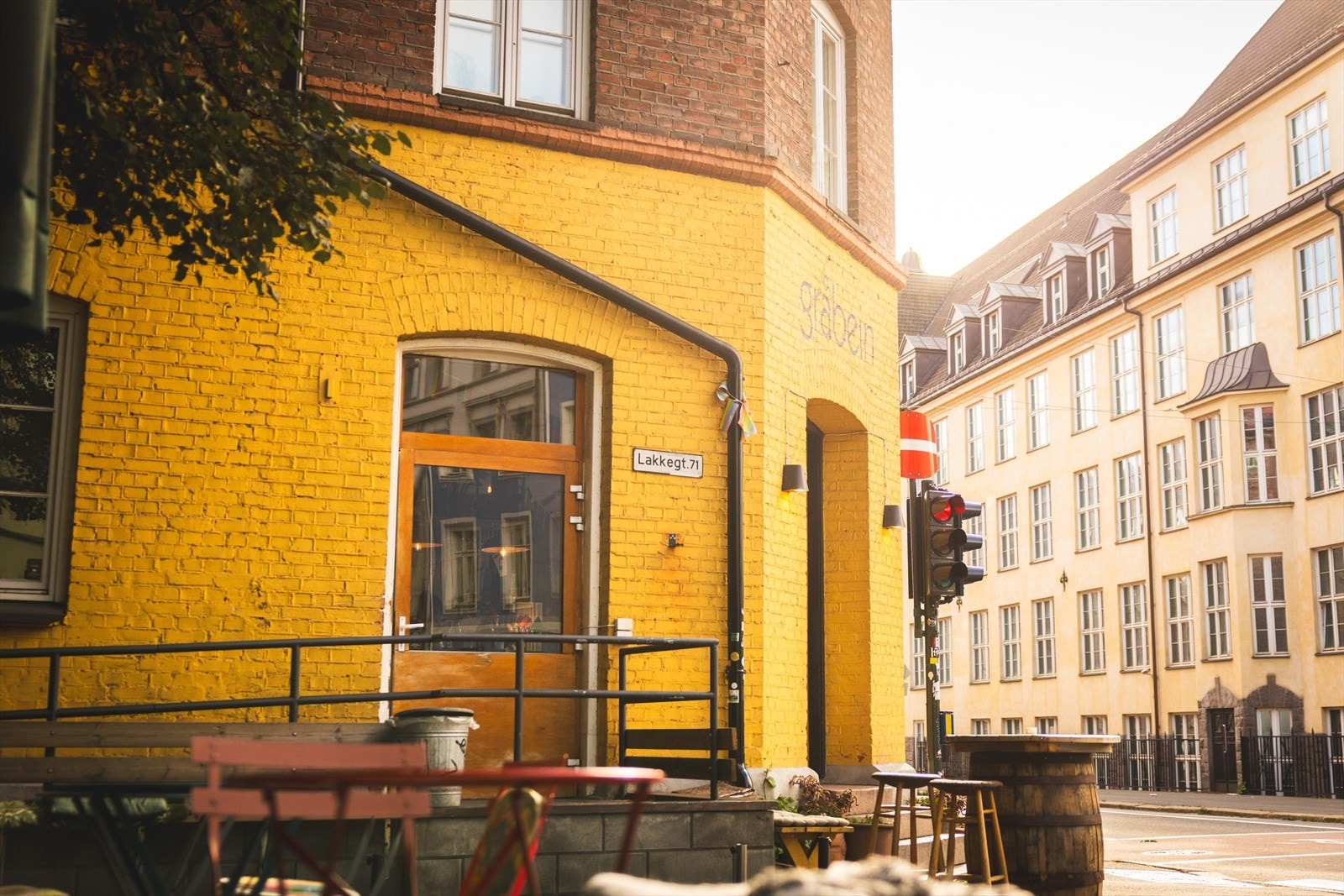 Populære Gråbein! Galleribilde