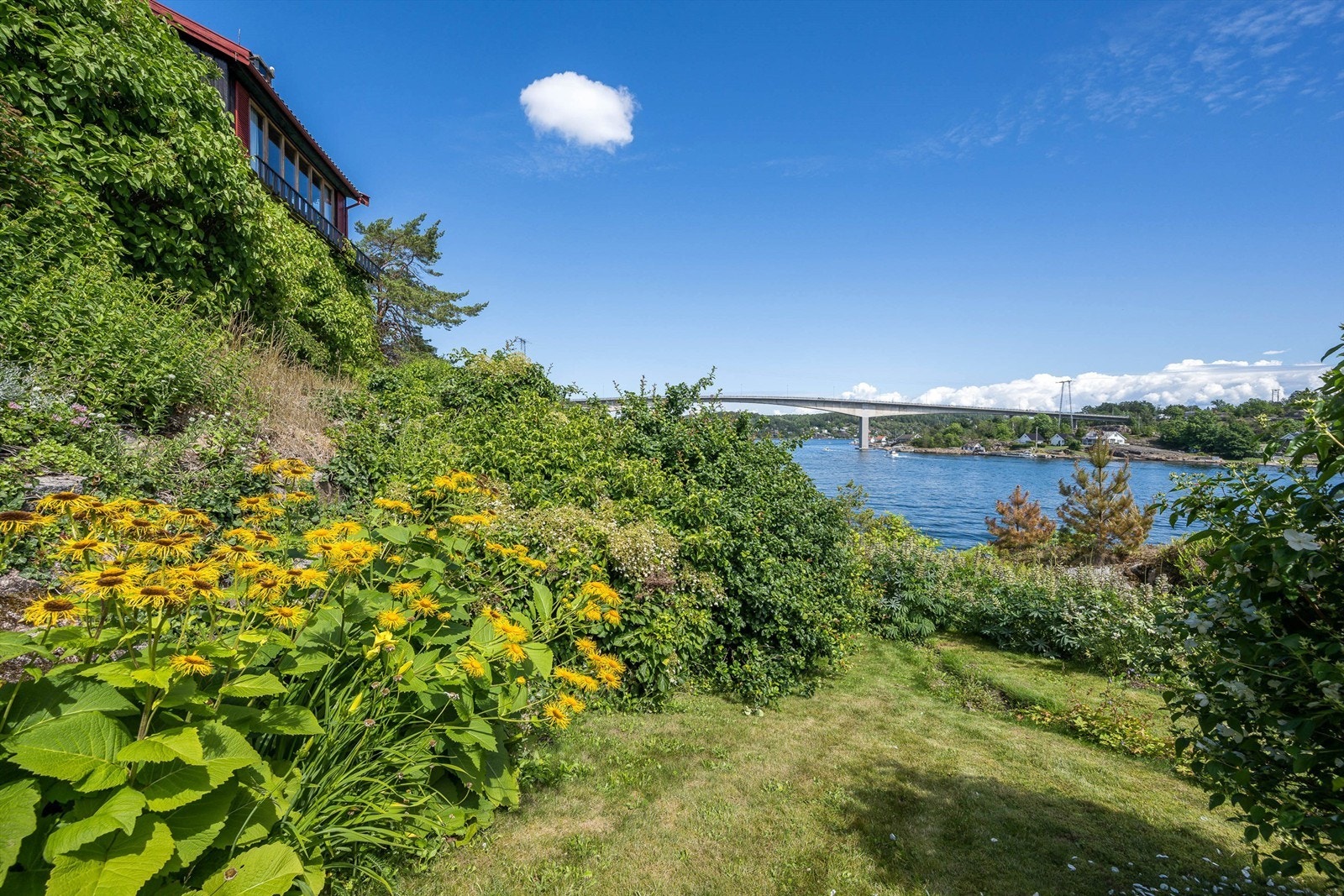 Eiertomt på 4996.7 kvm. Galleribilde