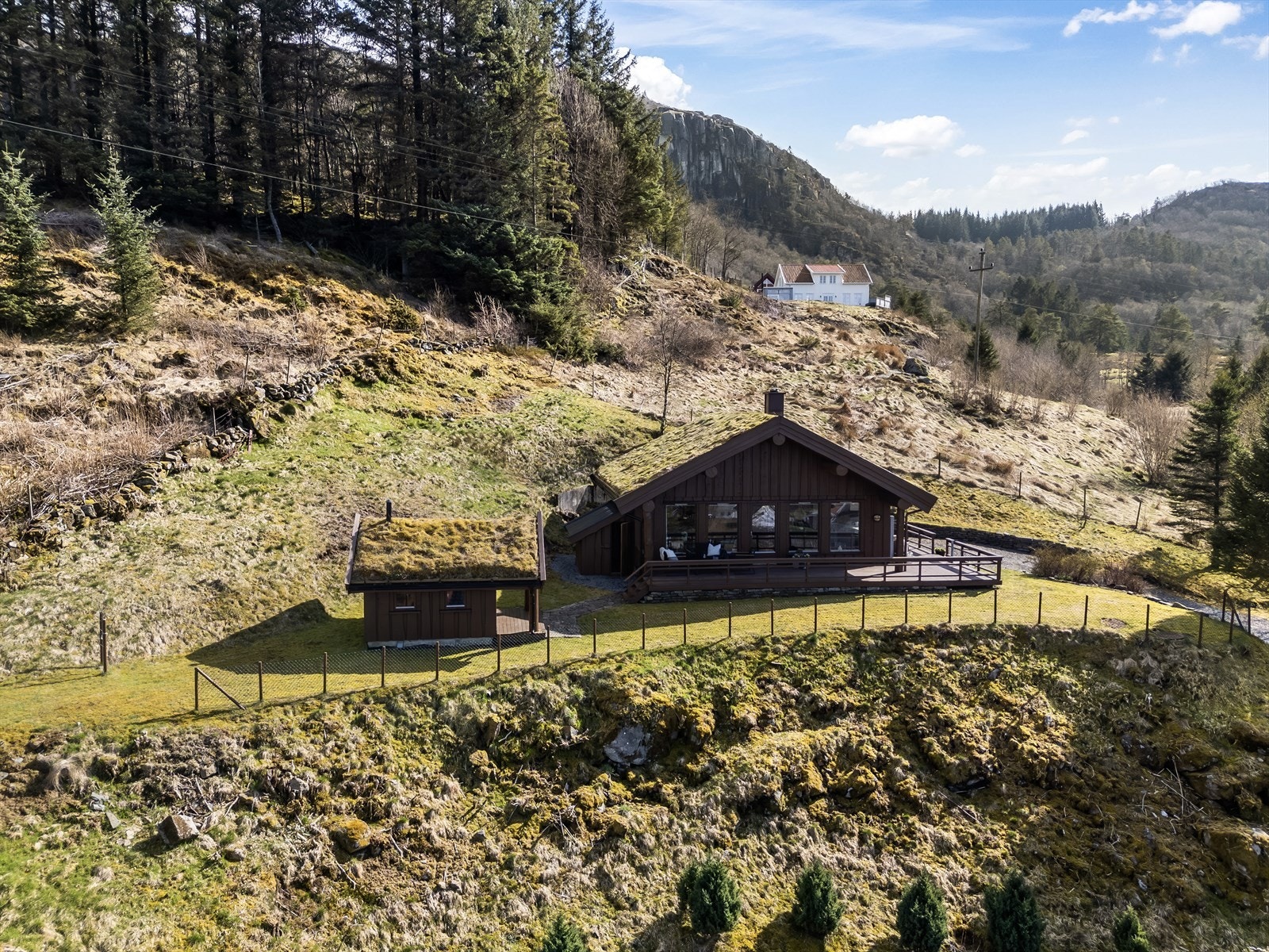 Pent opparbeidet tomt med plenlagte områder og terrasse. Galleribilde
