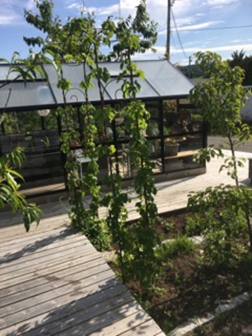 Selgers bilder. Galleribilde