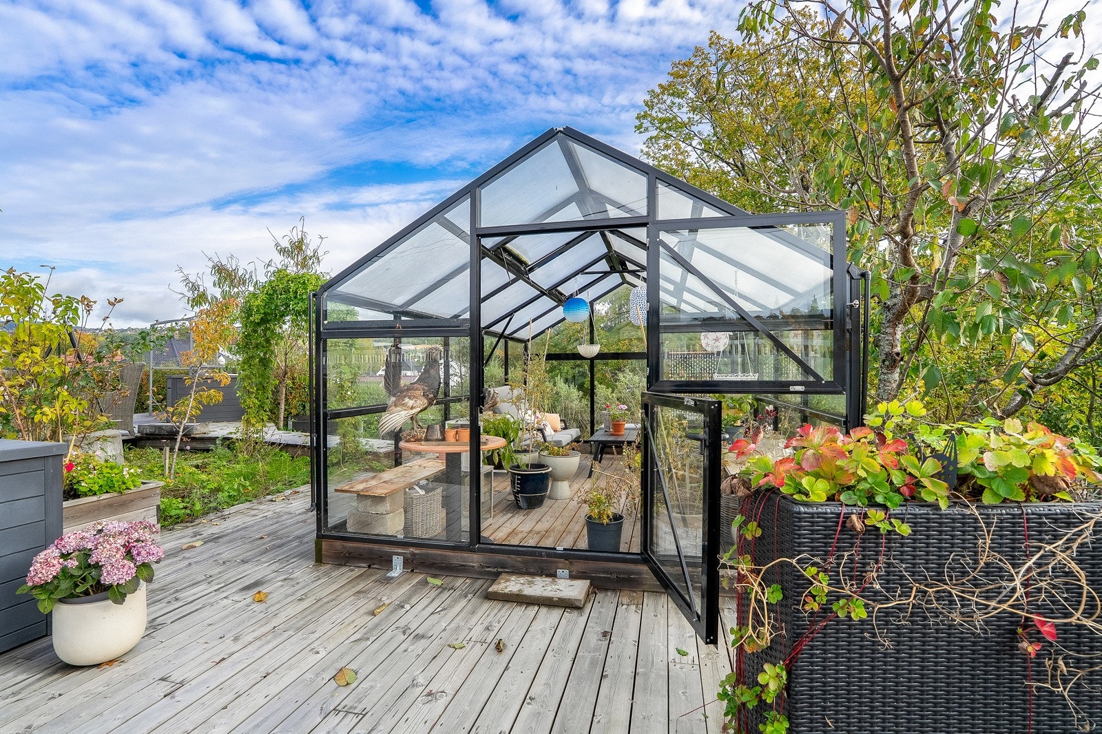 Det er etablert stor terrasse og drivhus. Galleribilde