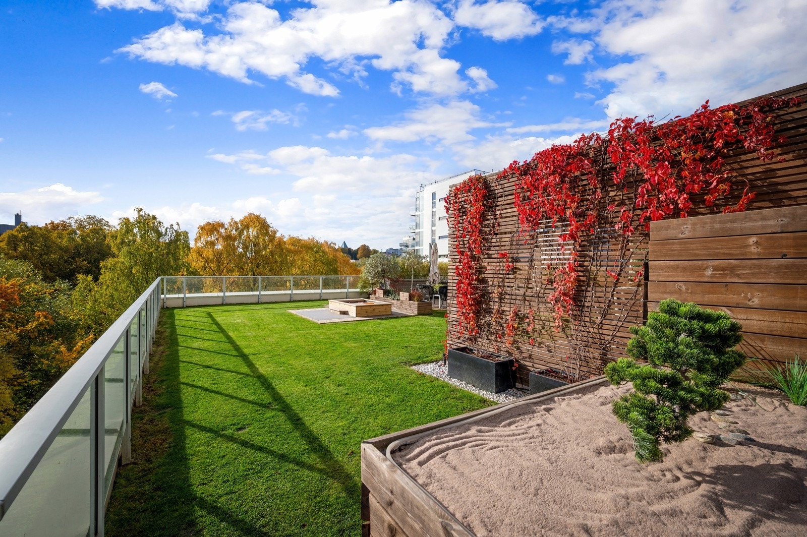 Stor og brukervennlig gressplen. Galleribilde