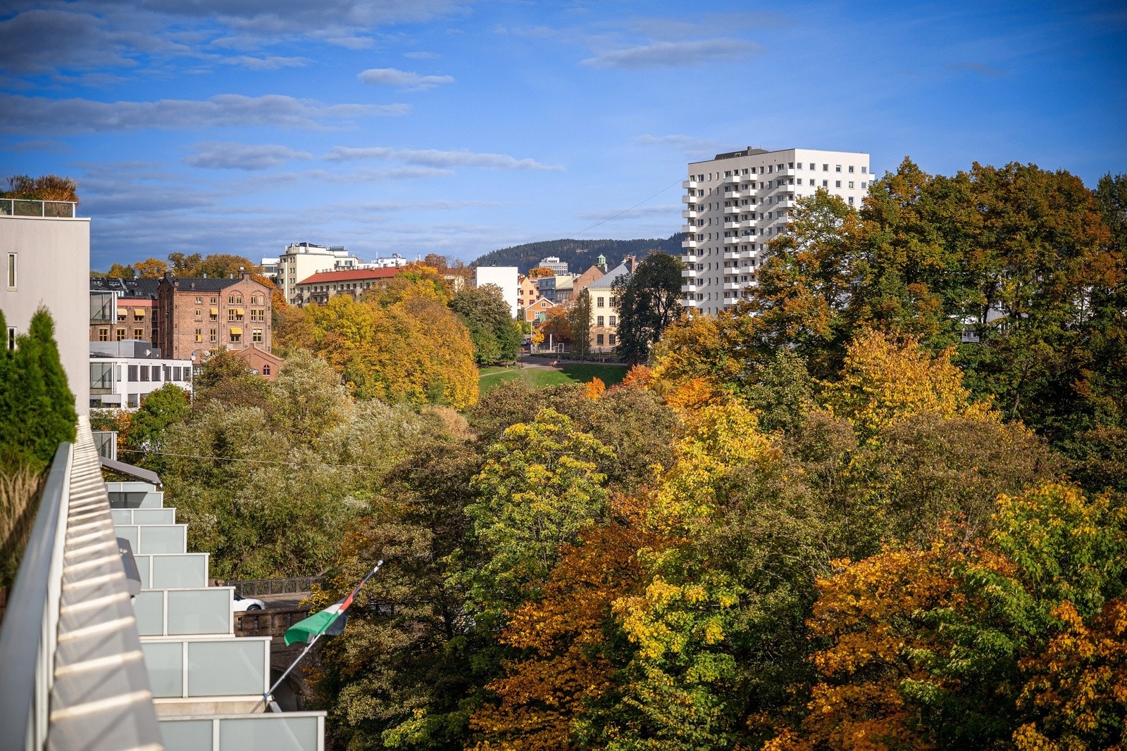 Nydelig utsikt over det frodige nærområdet. Galleribilde
