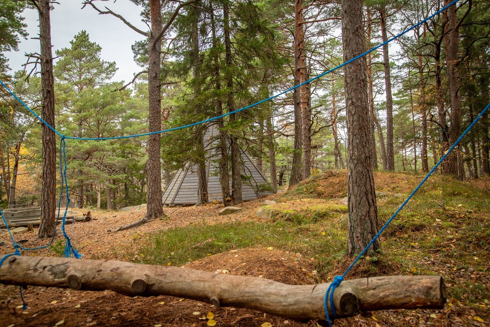 Boltreplass i nærområdet for barna Galleribilde