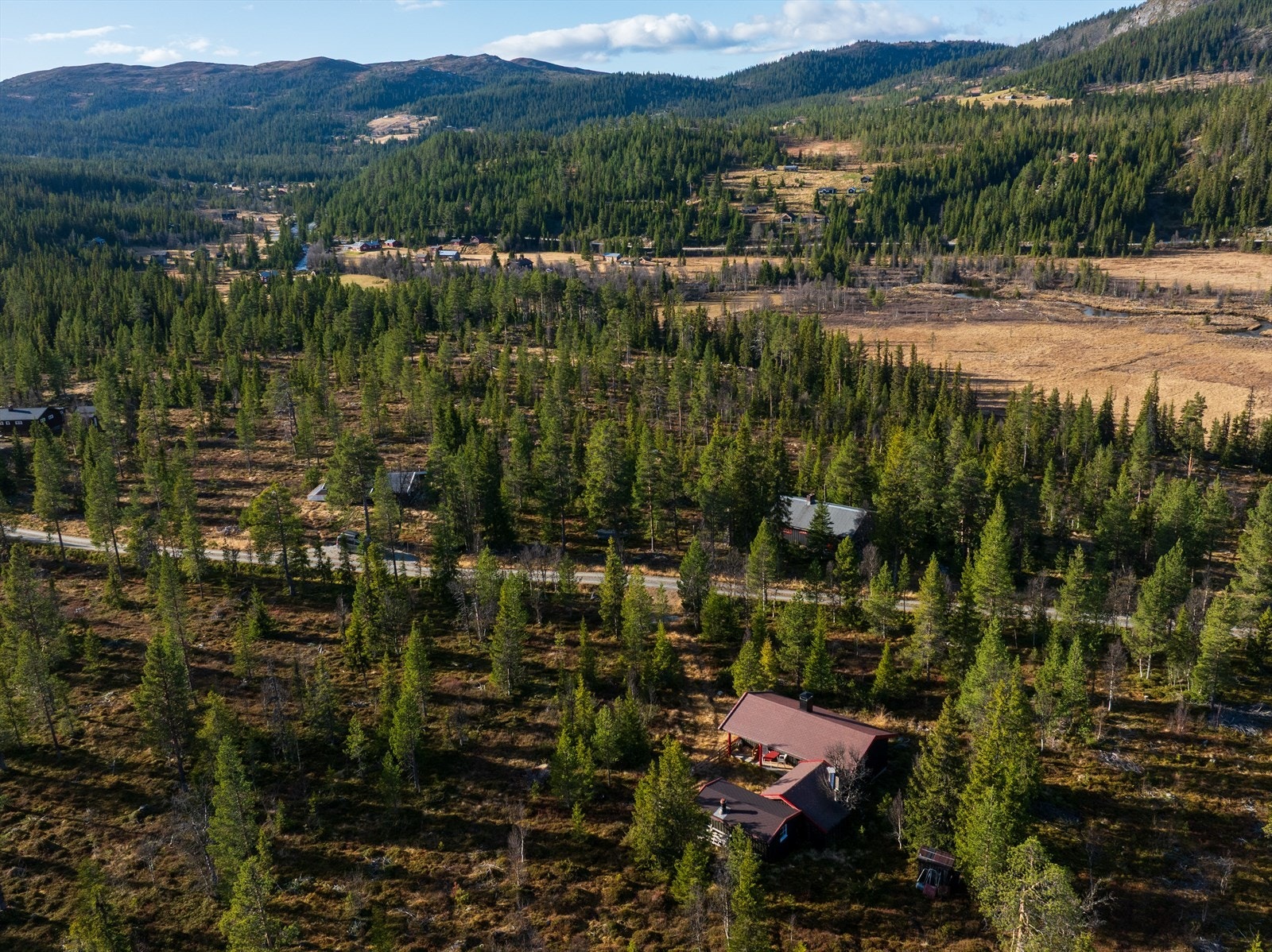 Stor tomt og god avstand til nabohytter. Parkering skjer ved veien. Galleribilde