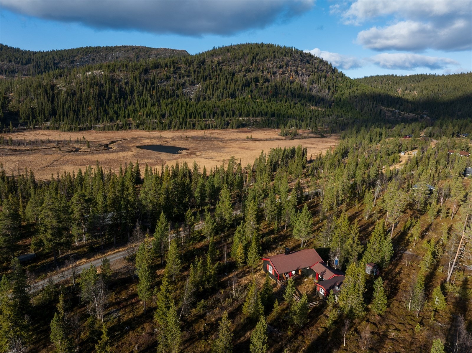 Naturtomt i vestvendt og lett skrånende terreng. Selve tomta er relativt flat, med lyng, gras og naturlig skogsvegetasjon. Galleribilde