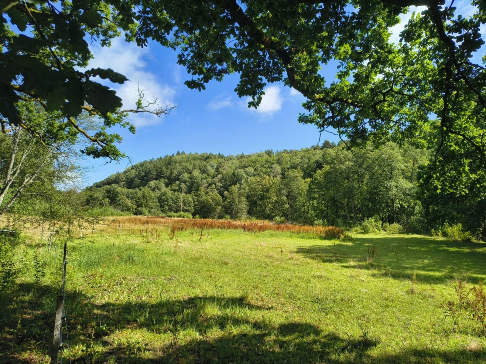 Idyllisk jorde for evt. beite rett ved Søgneelva Galleribilde