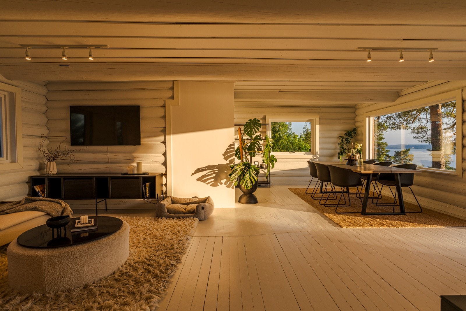 Dette rommet er virkelig noe for seg selv! Galleribilde