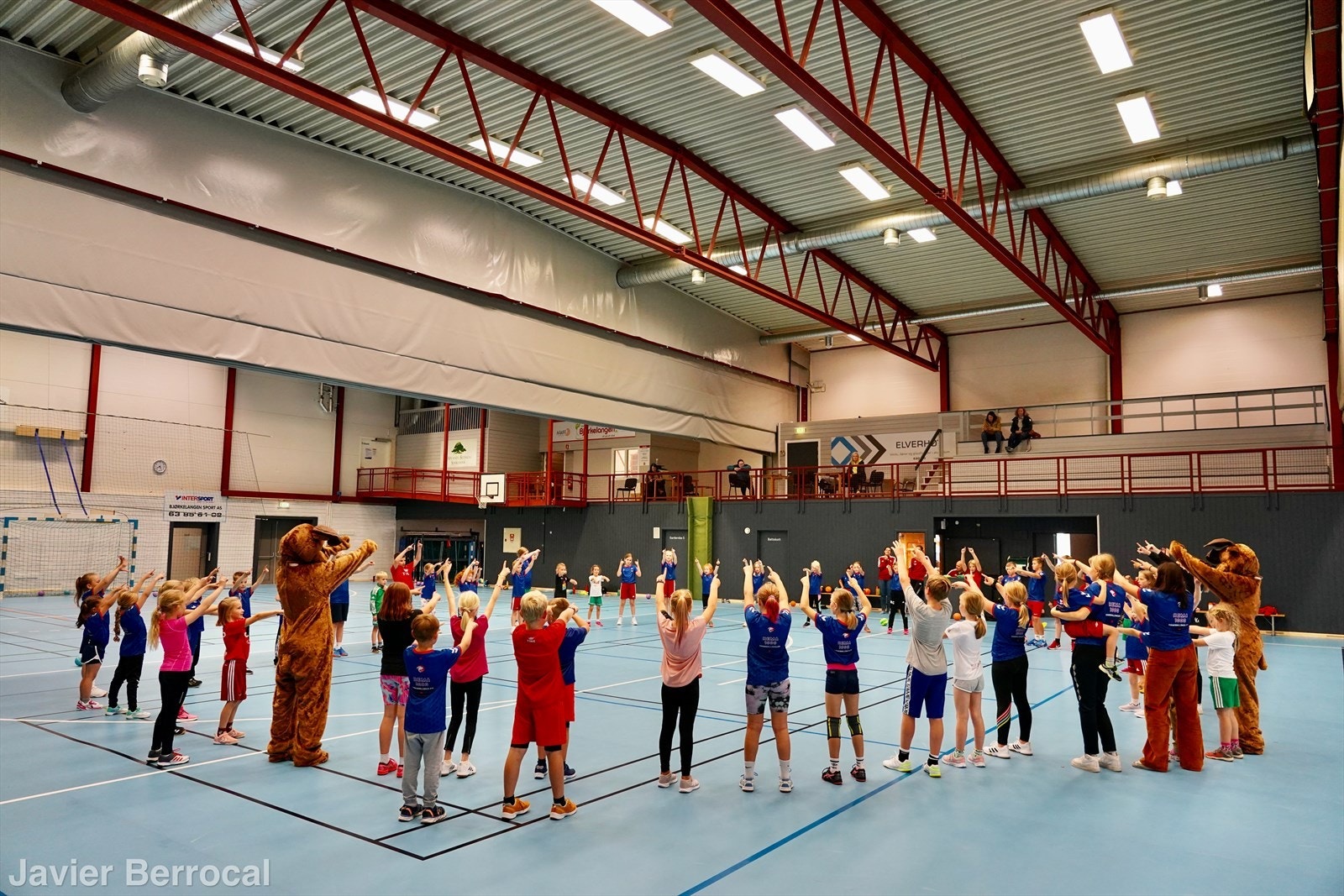 Bjørkelangen sportshall. Galleribilde