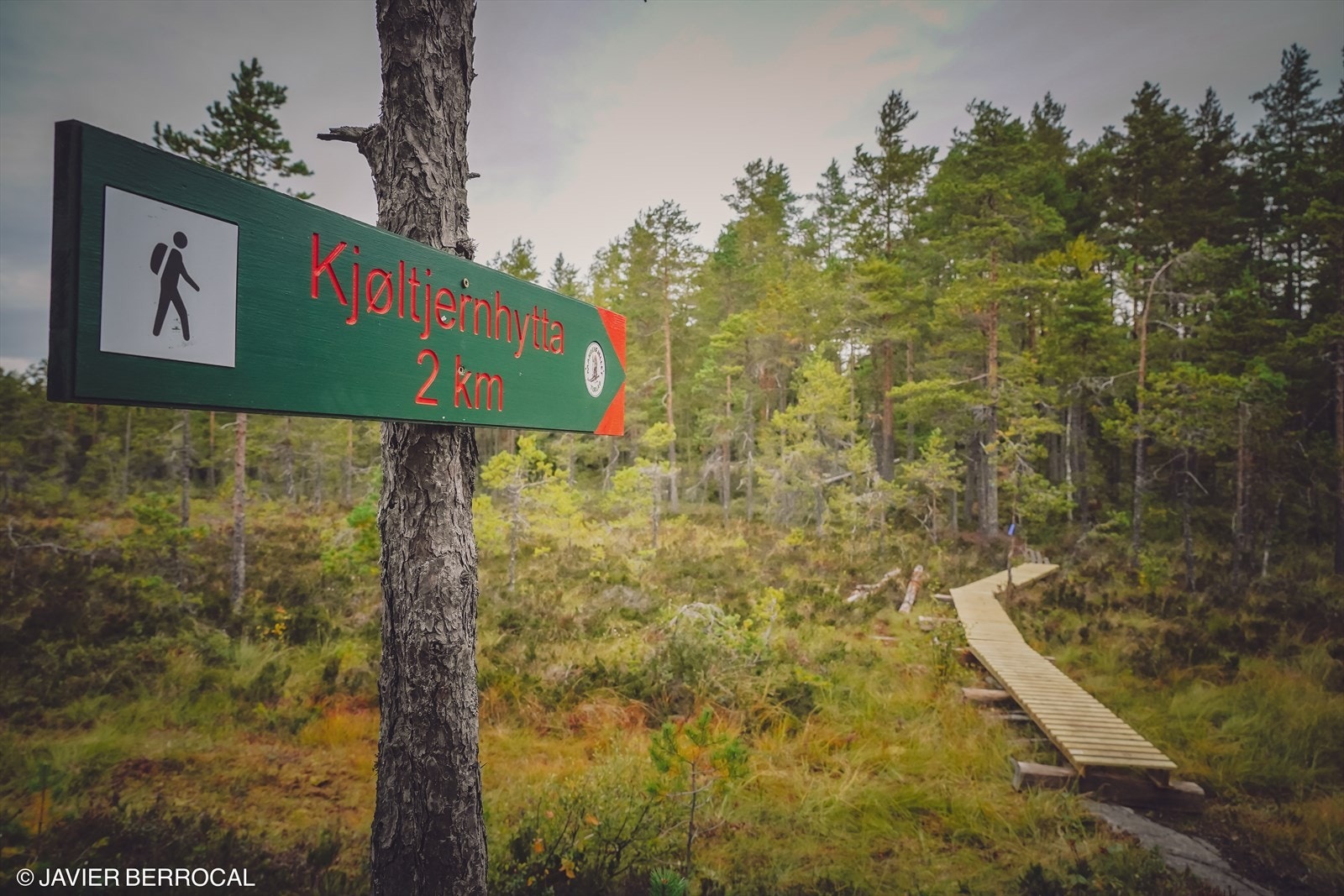 For deg som er glad i skog og mark har Mangenfjellet Turlag utallige markerte løyper å tilby. Galleribilde