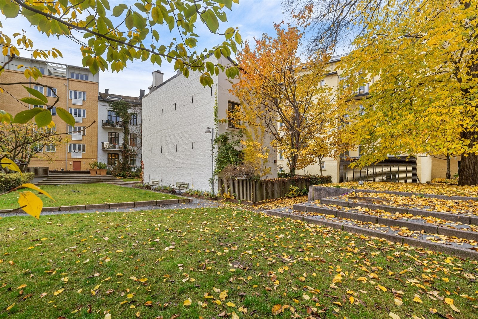 Dette er en unik bakgård, mer som en frodig park. Rikt beplantet med store grønne trær og busker som bidrar til å gjøre denne bakgården til en grønn lunge midt i sentrum. Galleribilde