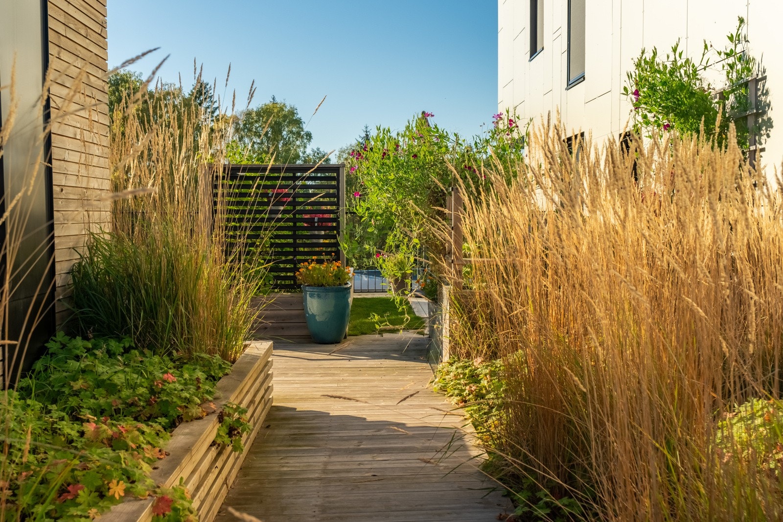 Taket er meget pent opparbeidet med gangveier. Galleribilde