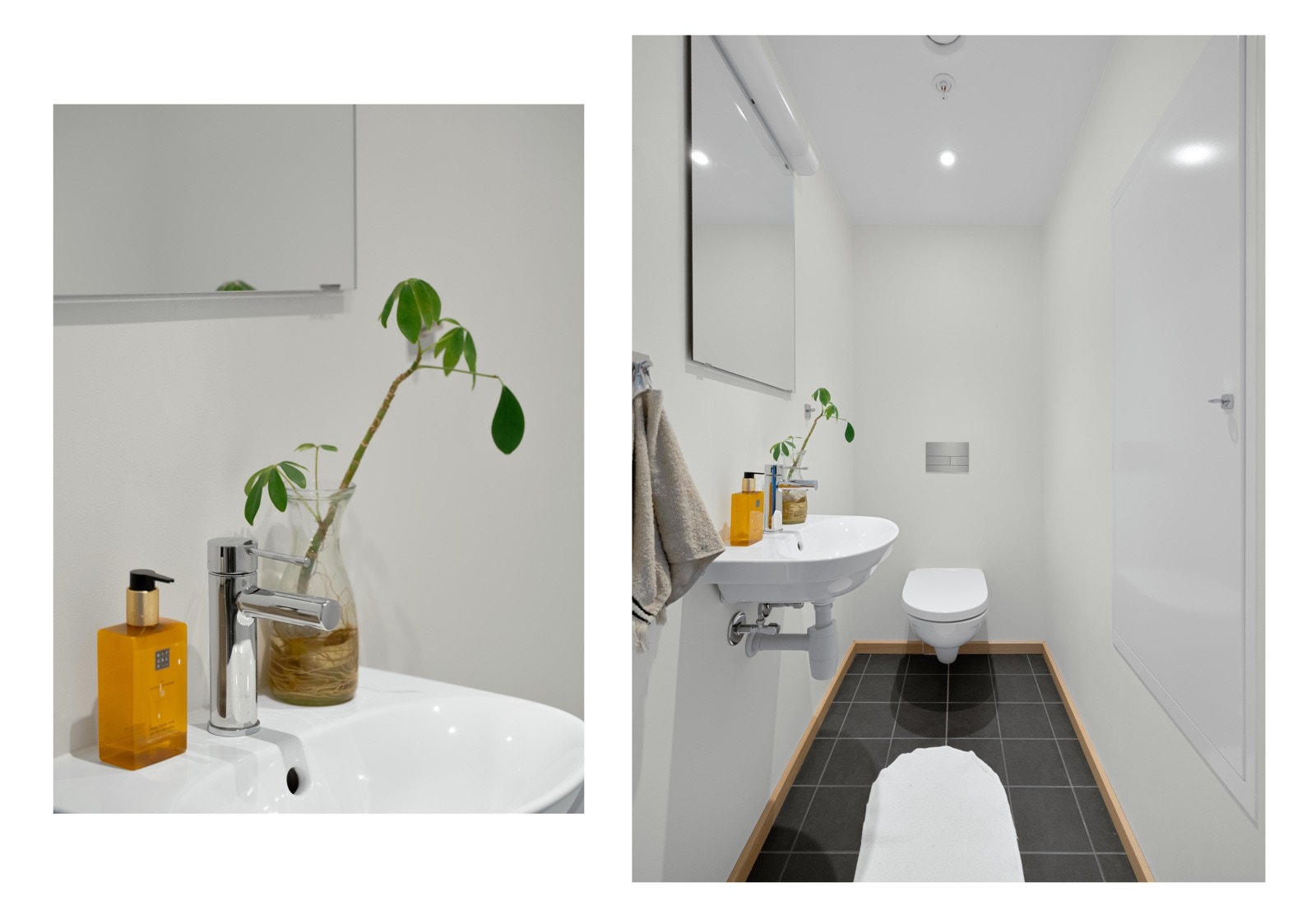 Separat toalettrom. Galleribilde