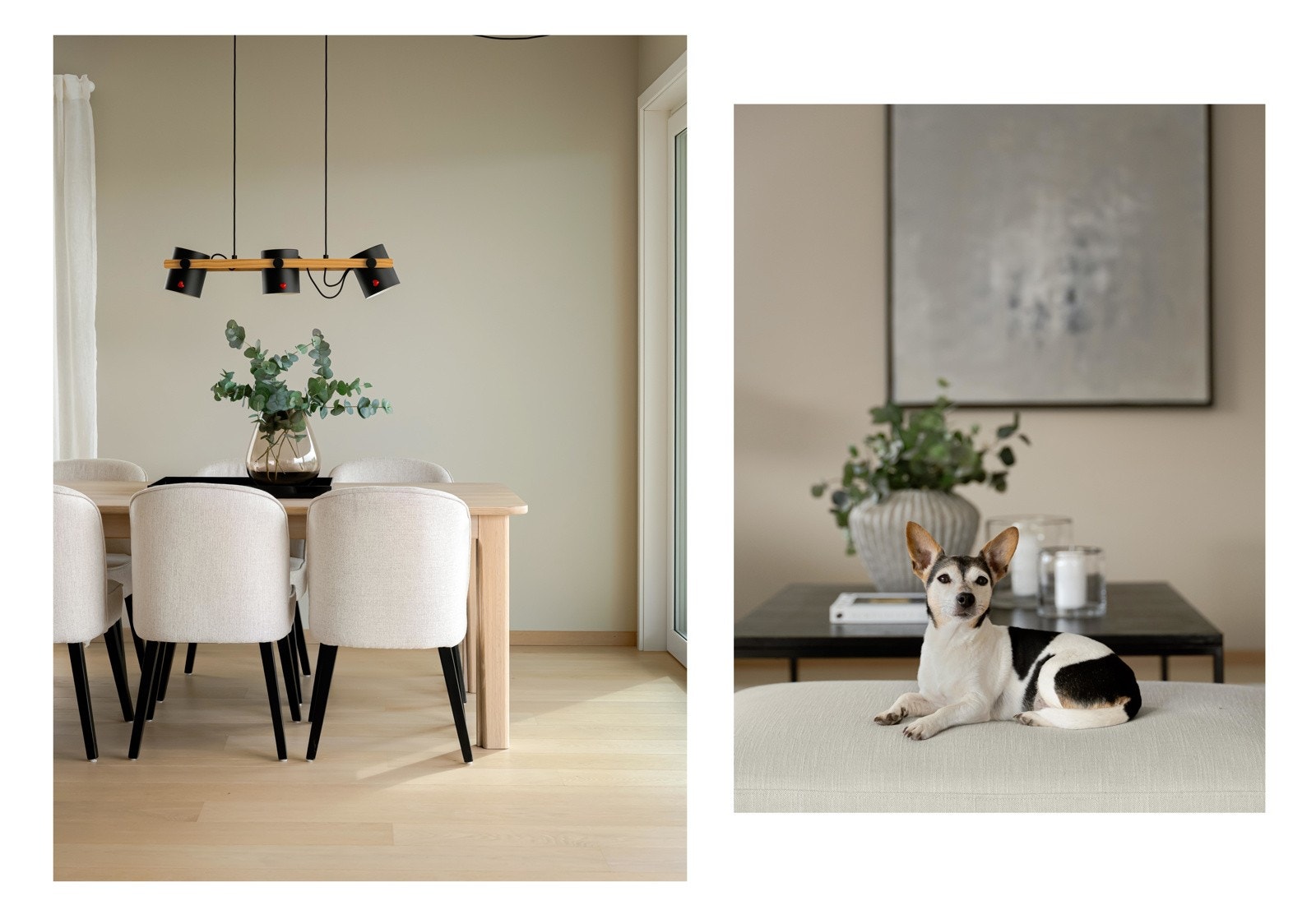 Et flott hjem for både to- og firbeinte! Her det det nemlig tillatt med dyr. Galleribilde