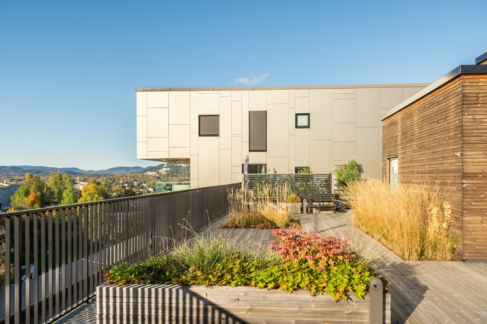 Flott, felles uteplass på taket. Galleribilde