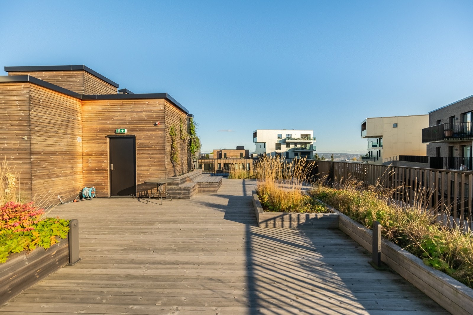 Flott, felles uteplass på taket. Galleribilde