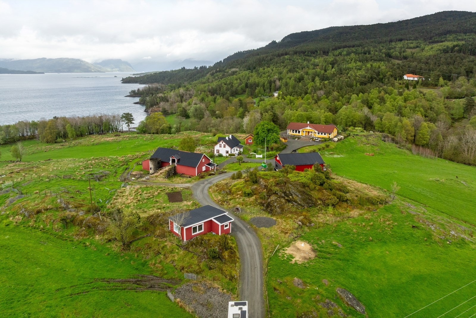 Hele tunet Galleribilde