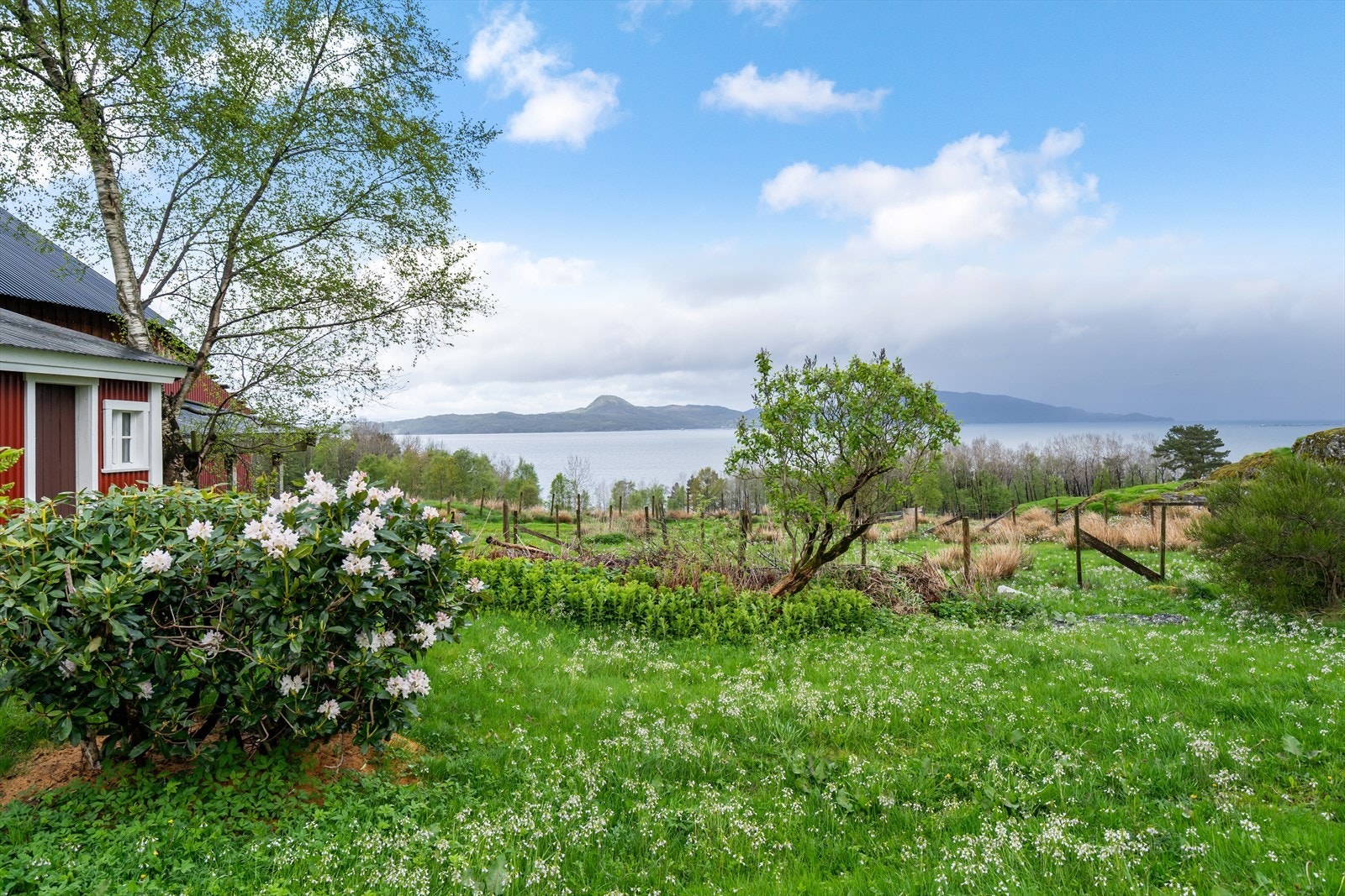 Hagen til kårhuset Galleribilde