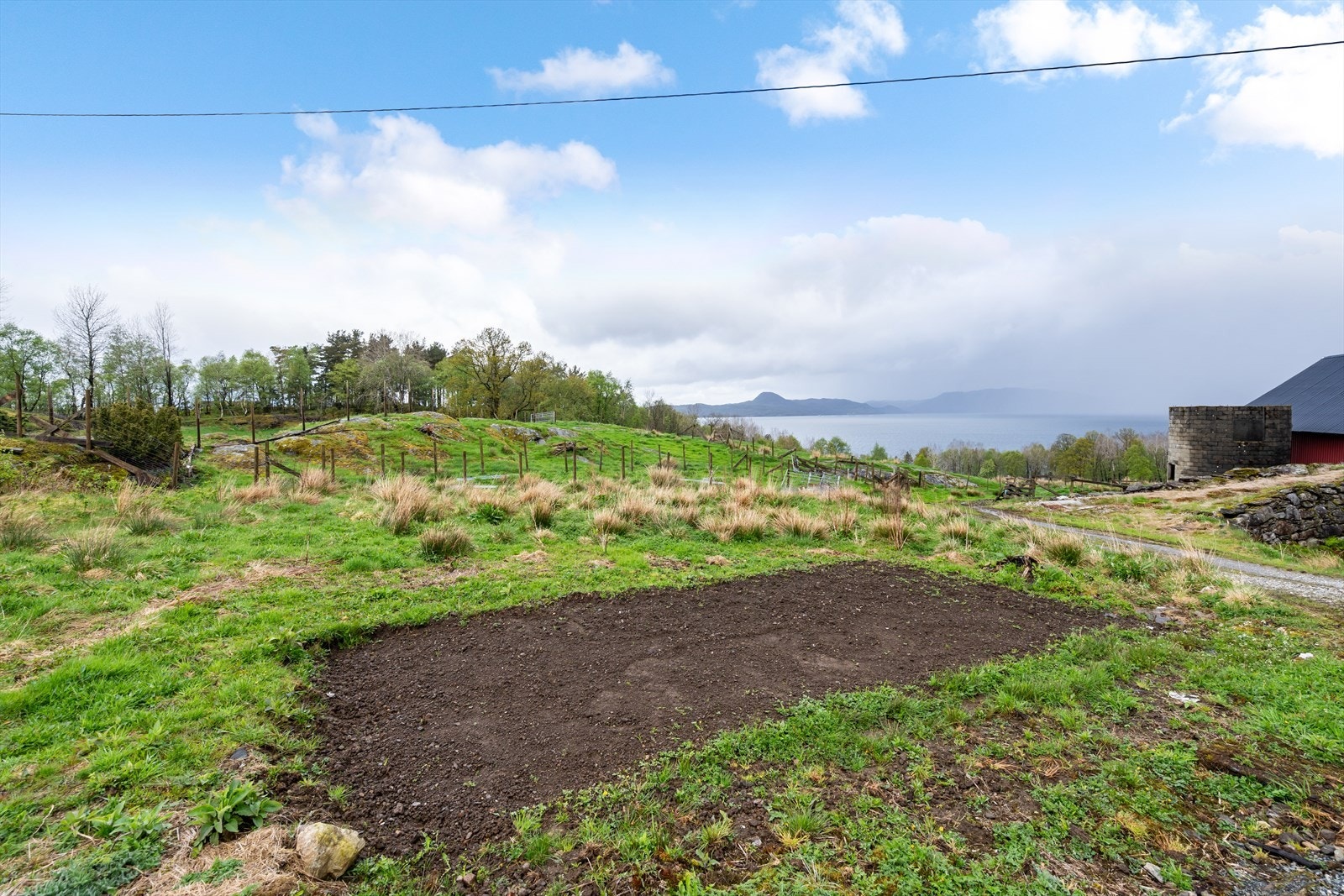 Potetåker e.l. på egen tomt Galleribilde