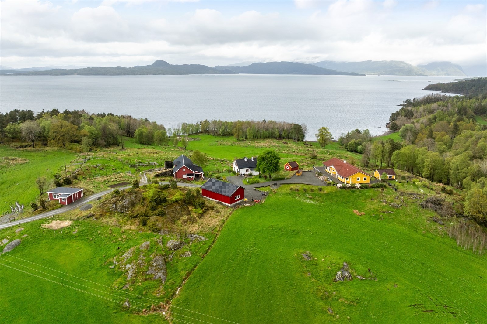 Hele tunet Galleribilde