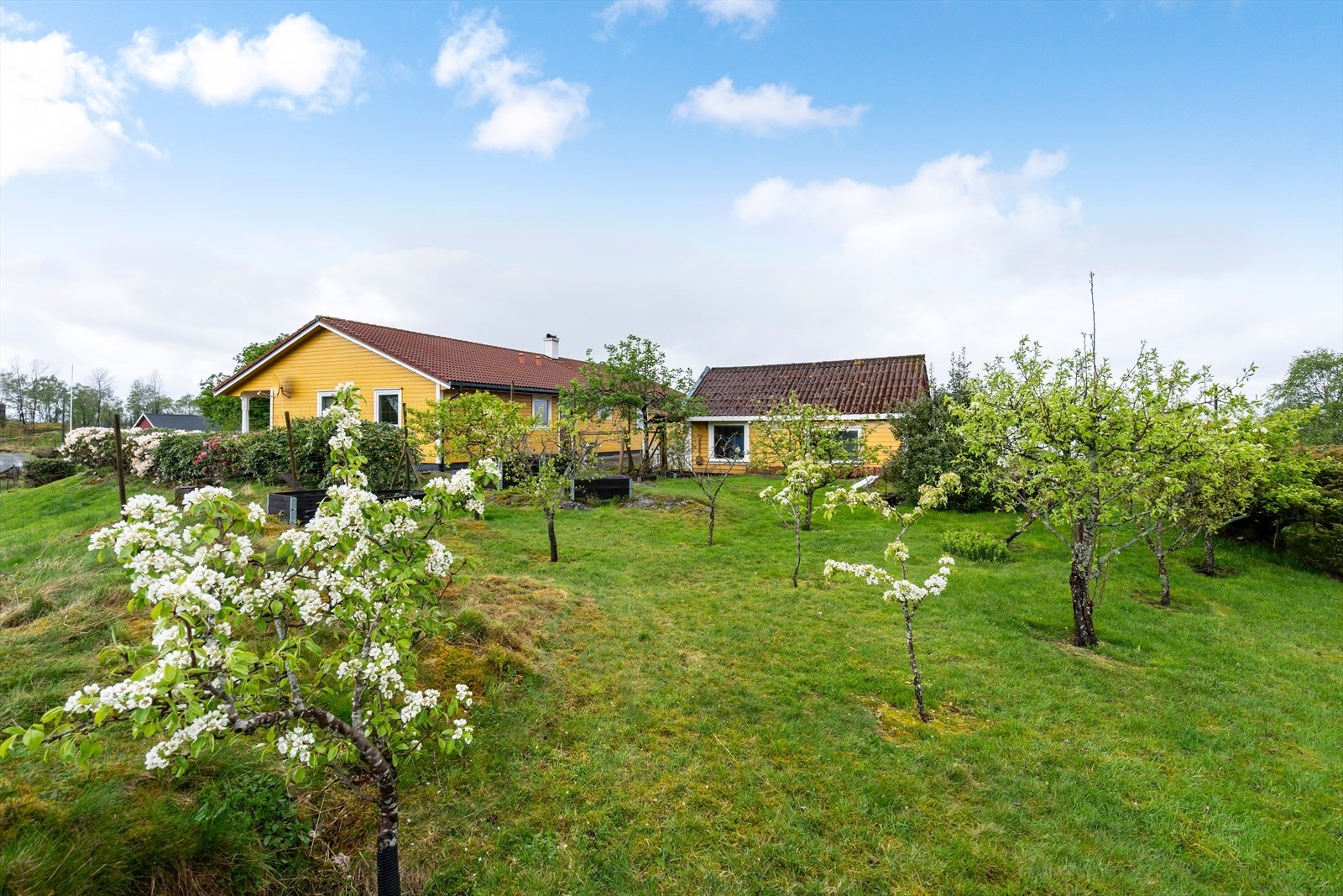 Flott frukthage til hovedhuset Galleribilde