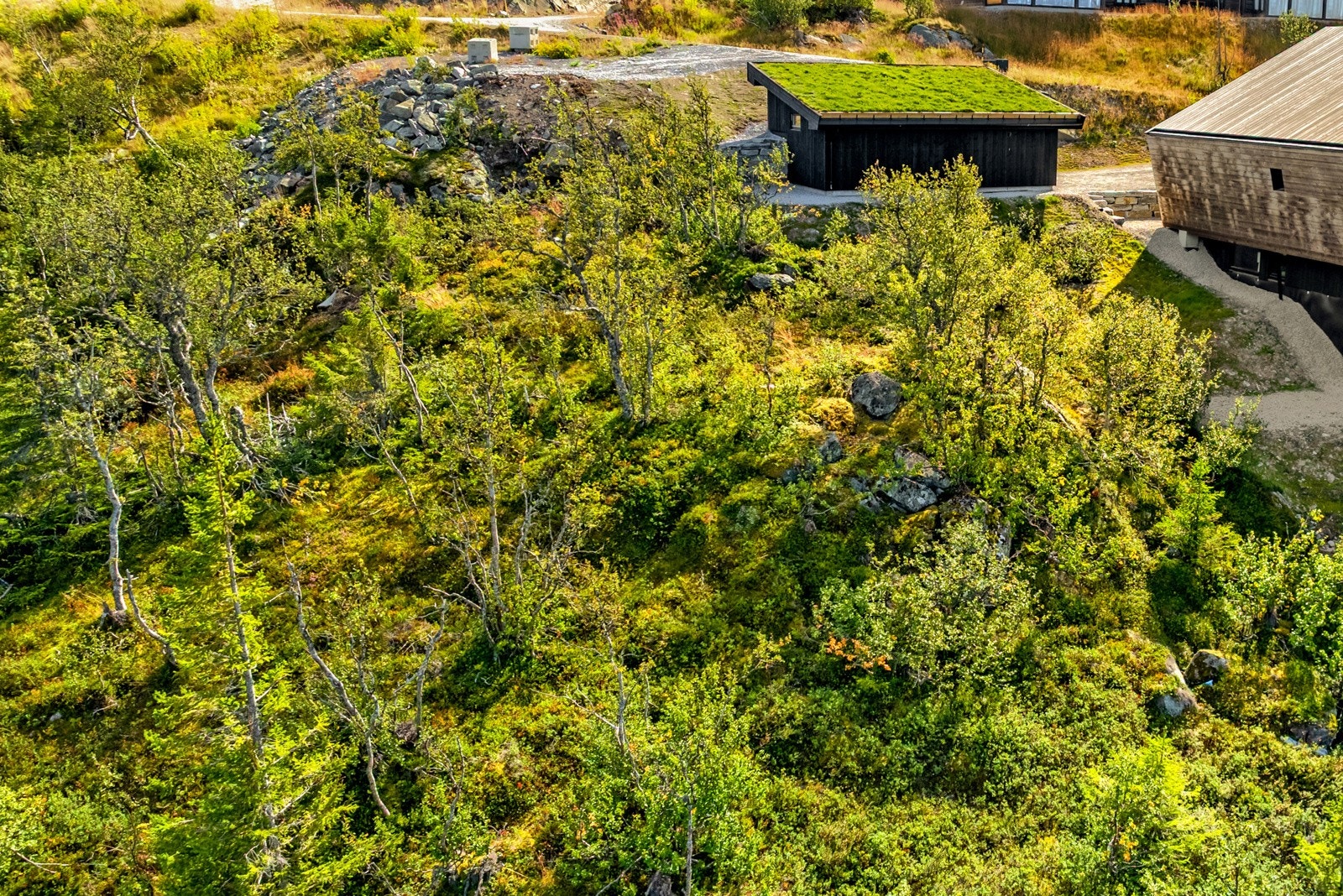 Tomten gir deg mulighet til å skape noe helt eget - med plass, utsikt og natur som ramme. Galleribilde