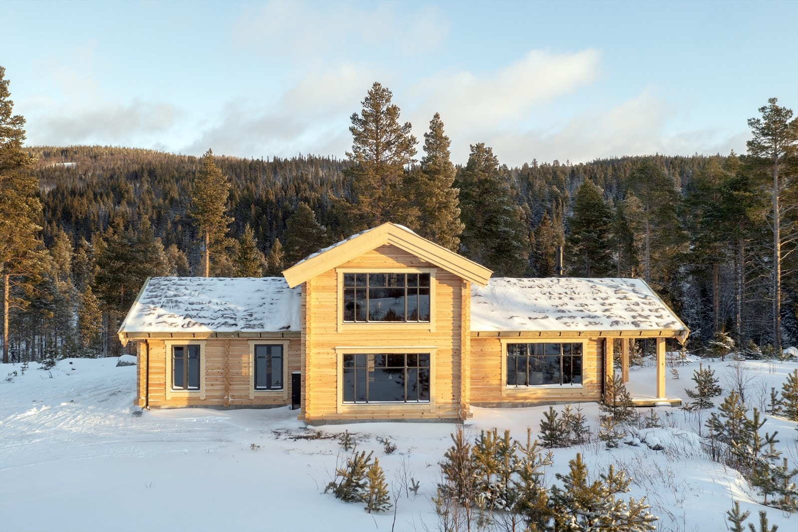 Fasade mot vest Galleribilde