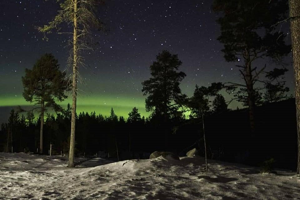 Områdebilde Galleribilde