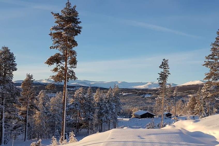 Områdebilde Galleribilde