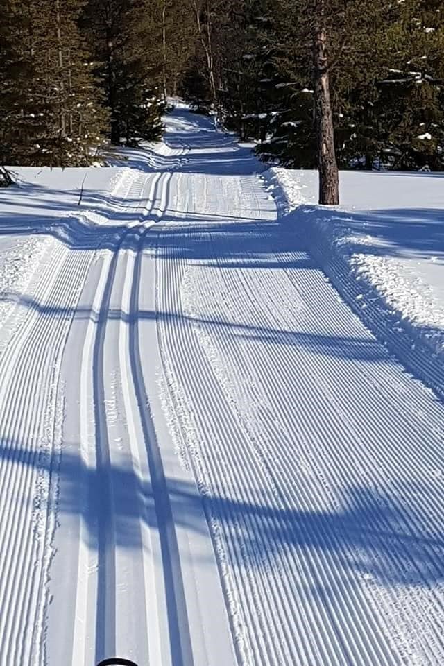 Områdebilde Galleribilde